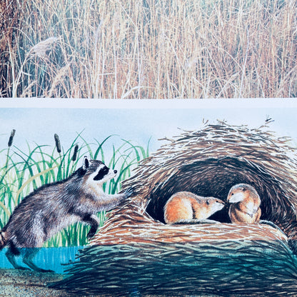 Animals and Their Hiding Places (National Geographic Books for Young Explorers)