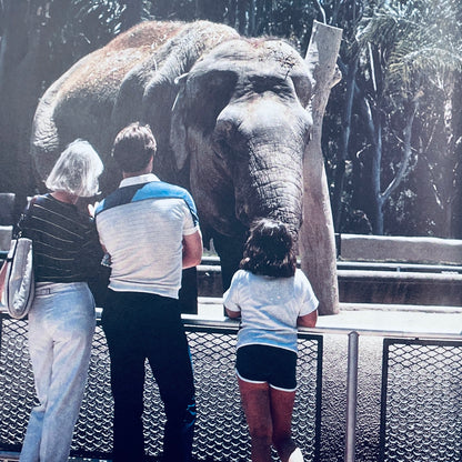 What Happens at the Zoo (National Geographic Books for Young Explorers)