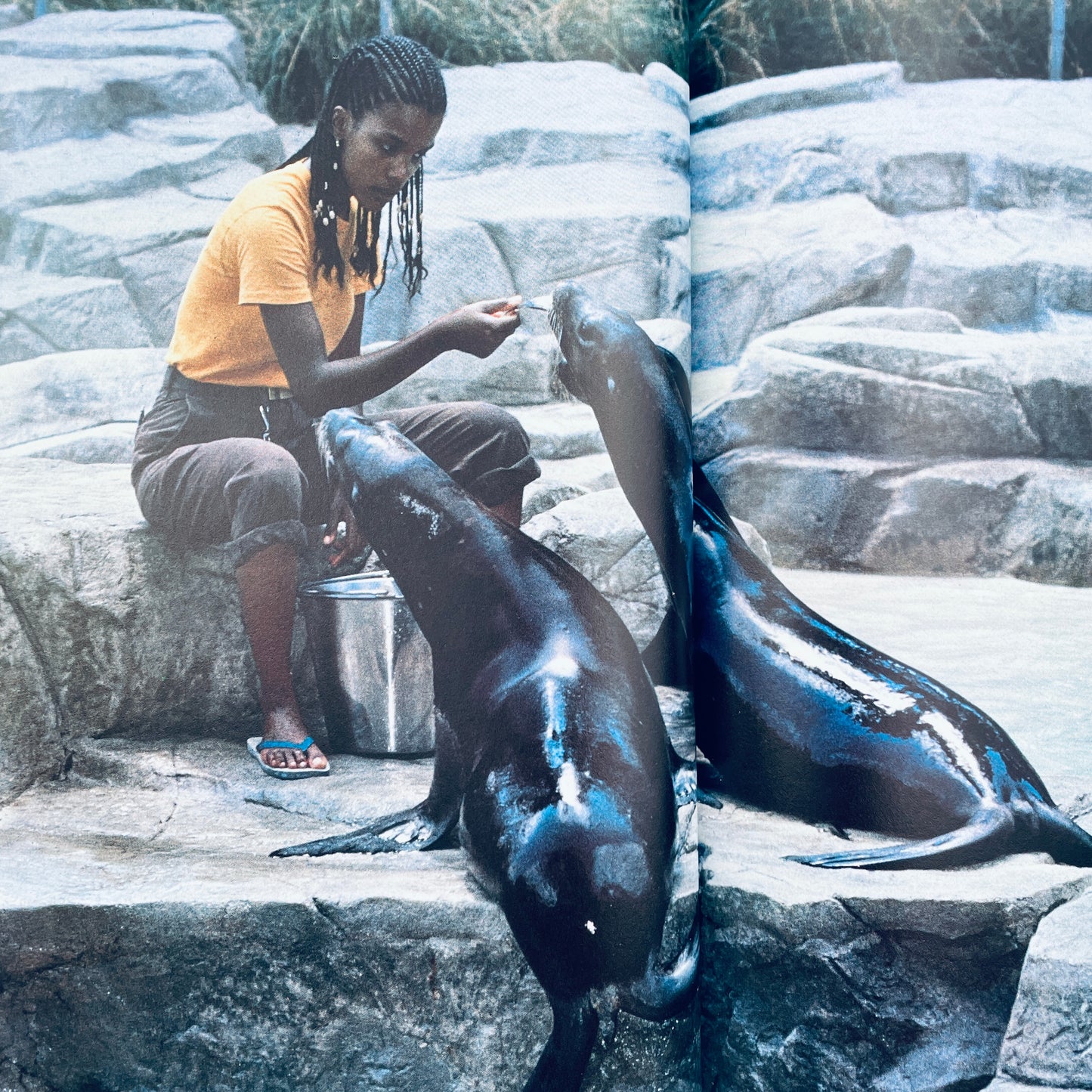 What Happens at the Zoo (National Geographic Books for Young Explorers)