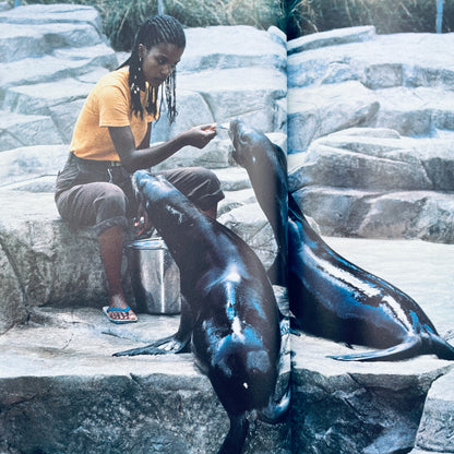 What Happens at the Zoo (National Geographic Books for Young Explorers)
