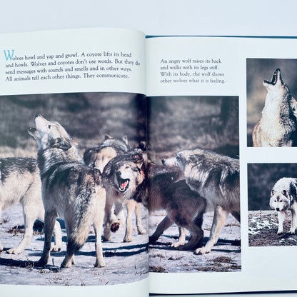 How Animals Talk (National Geographic Books for Young Explorers)