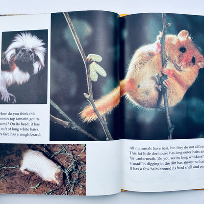 Creatures Small and Furry (National Geographic Books for Young Explorers)