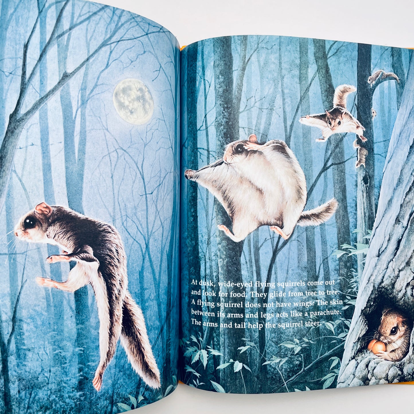 Creatures Small and Furry (National Geographic Books for Young Explorers)