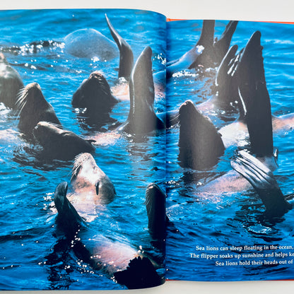 Ways Animals Sleep (National Geographic Books for Young Explorers)