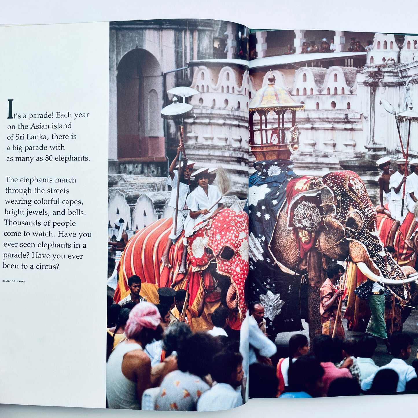 Animals Helping People (National Geographic Books for Young Explorers)