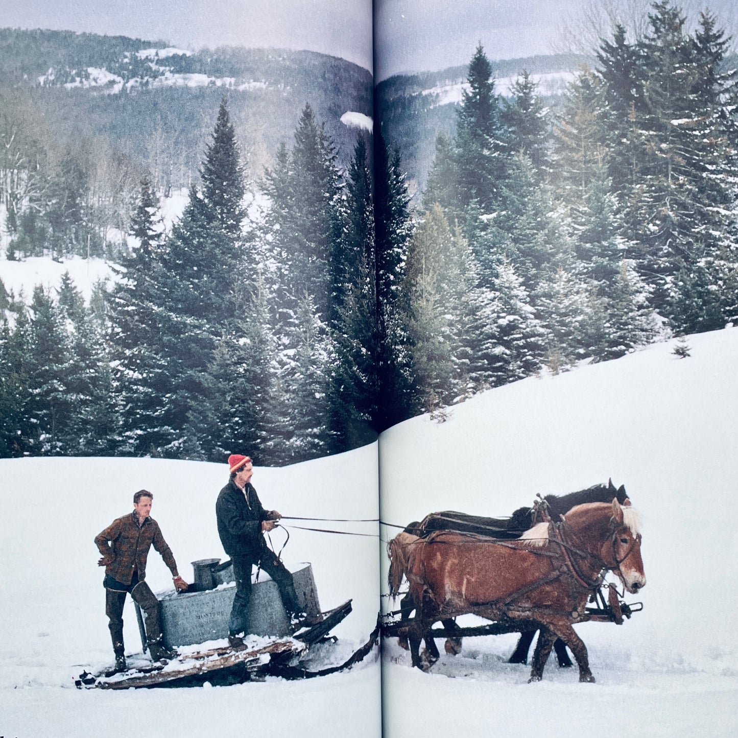 Animals Helping People (National Geographic Books for Young Explorers)