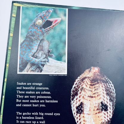 Creepy Crawly Things (National Geographic Books for Young Explorers)