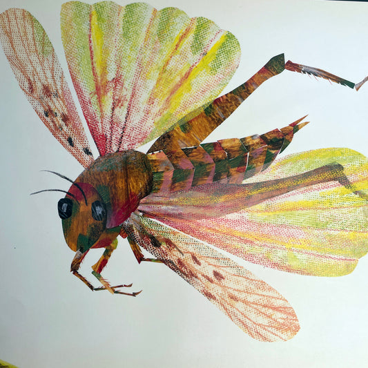 The Very Quiet Cricket