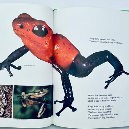 Creepy Crawly Things (National Geographic Books for Young Explorers)