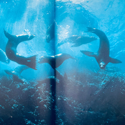The Wonderful World of Seals and Whales (National Geographic Books for Young Explorers)