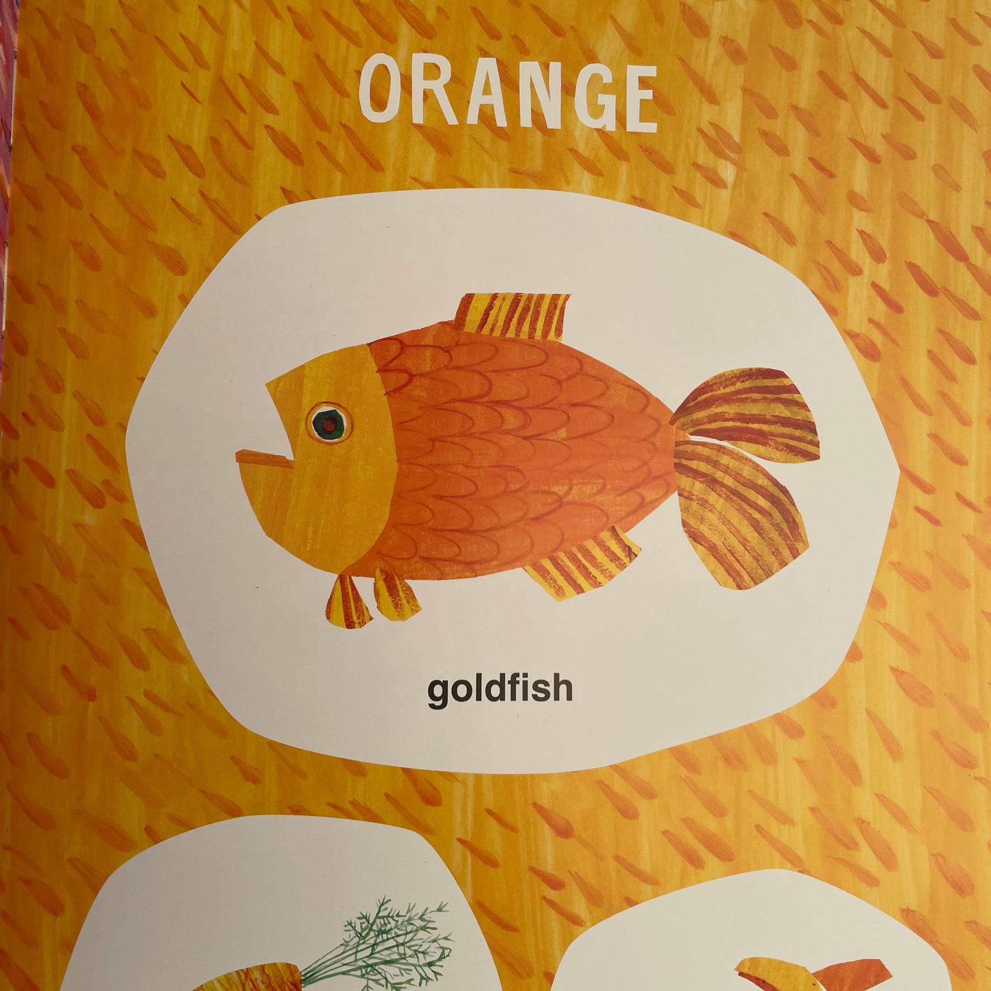 Eric Carle's Book of Many Things