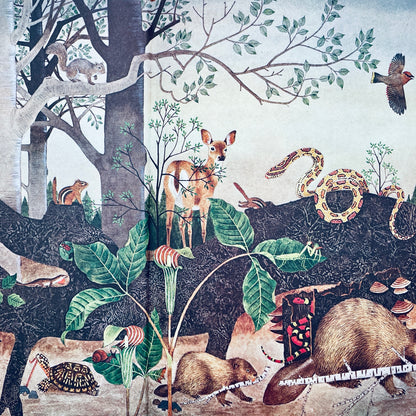 A Day in the Woods (National Geographic Books for Young Explorers)