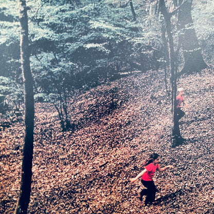 A Day in the Woods (National Geographic Books for Young Explorers)
