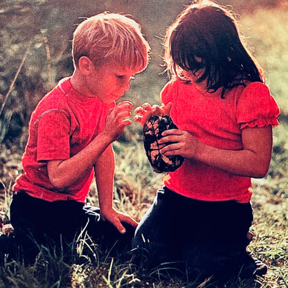 A Day in the Woods (National Geographic Books for Young Explorers)
