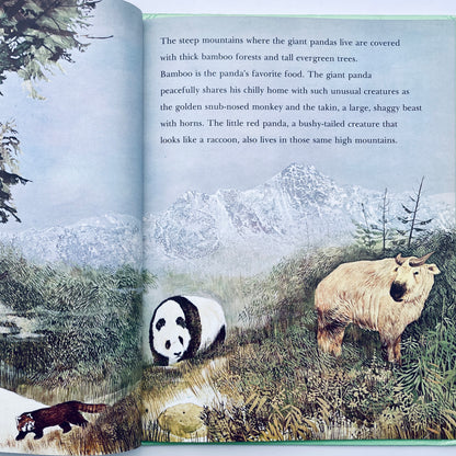 Pandas (National Geographic Books for Young Explorers)