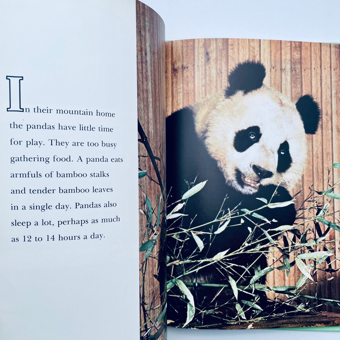 Pandas (National Geographic Books for Young Explorers)