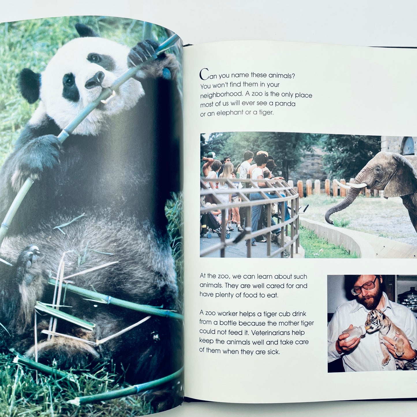 Saving Our Animal Friends (National Geographic Books for Young Explorers)