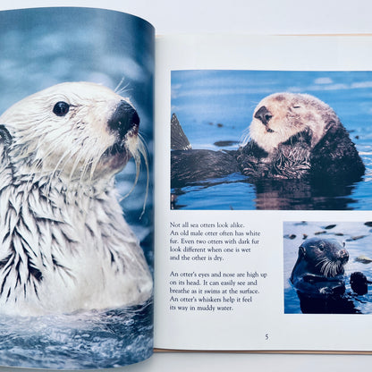 Amazing Otters (National Geographic Books for Young Explorers)