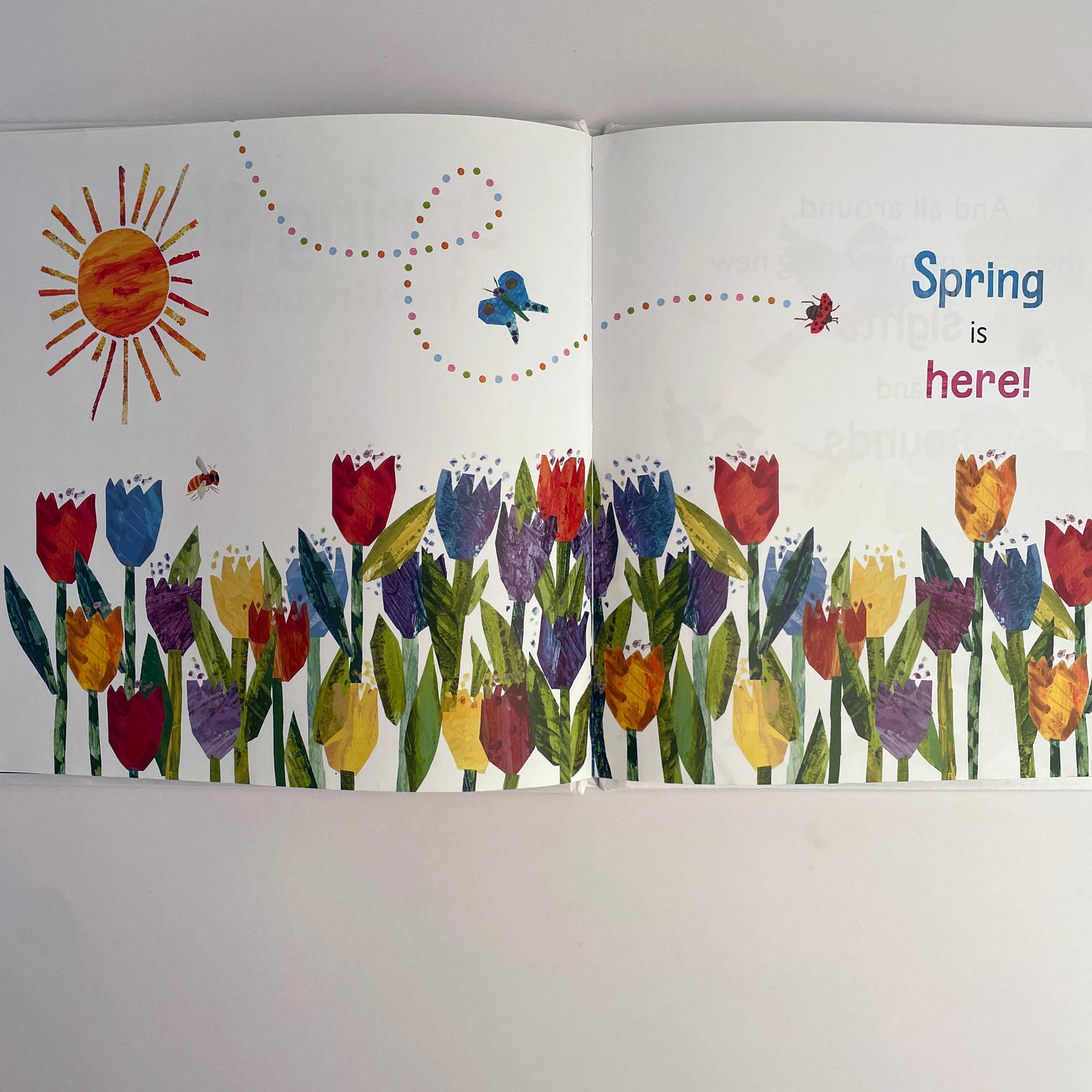 Spring Sings for the Grouchy Ladybug