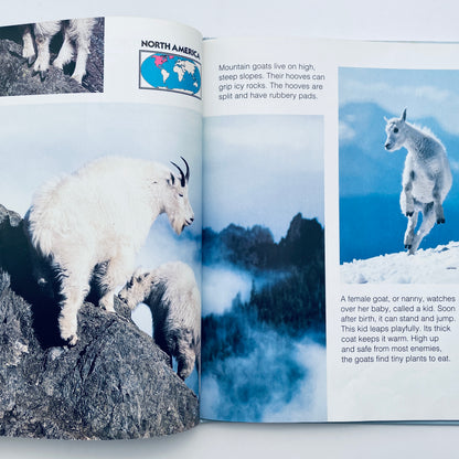 Animals of the High Mountains (National Geographic Books for Young Explorers)