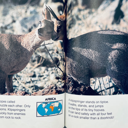Animals of the High Mountains (National Geographic Books for Young Explorers)