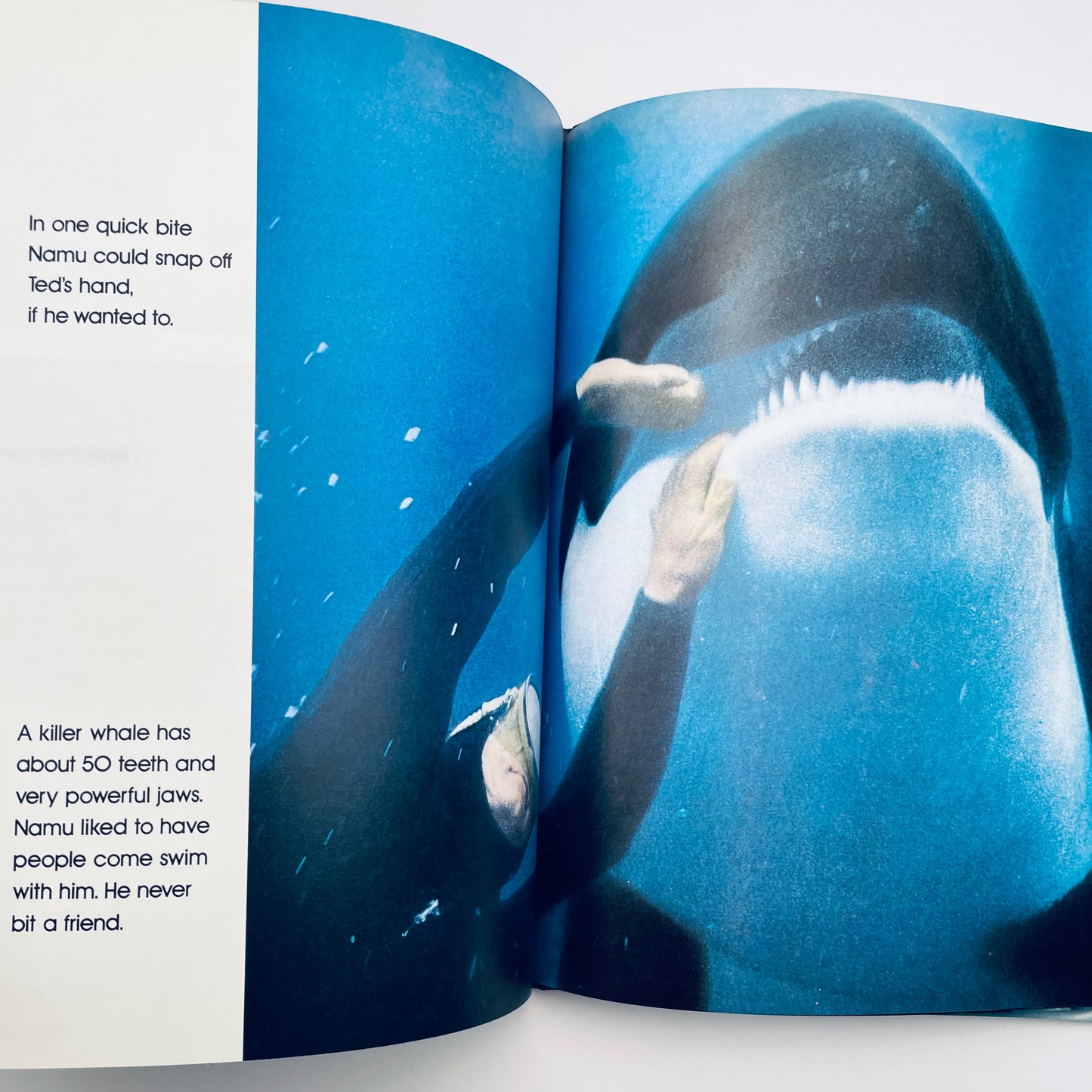 Namu: Making Friends with a Killer Whale (National Geographic Books for Young Explorers)