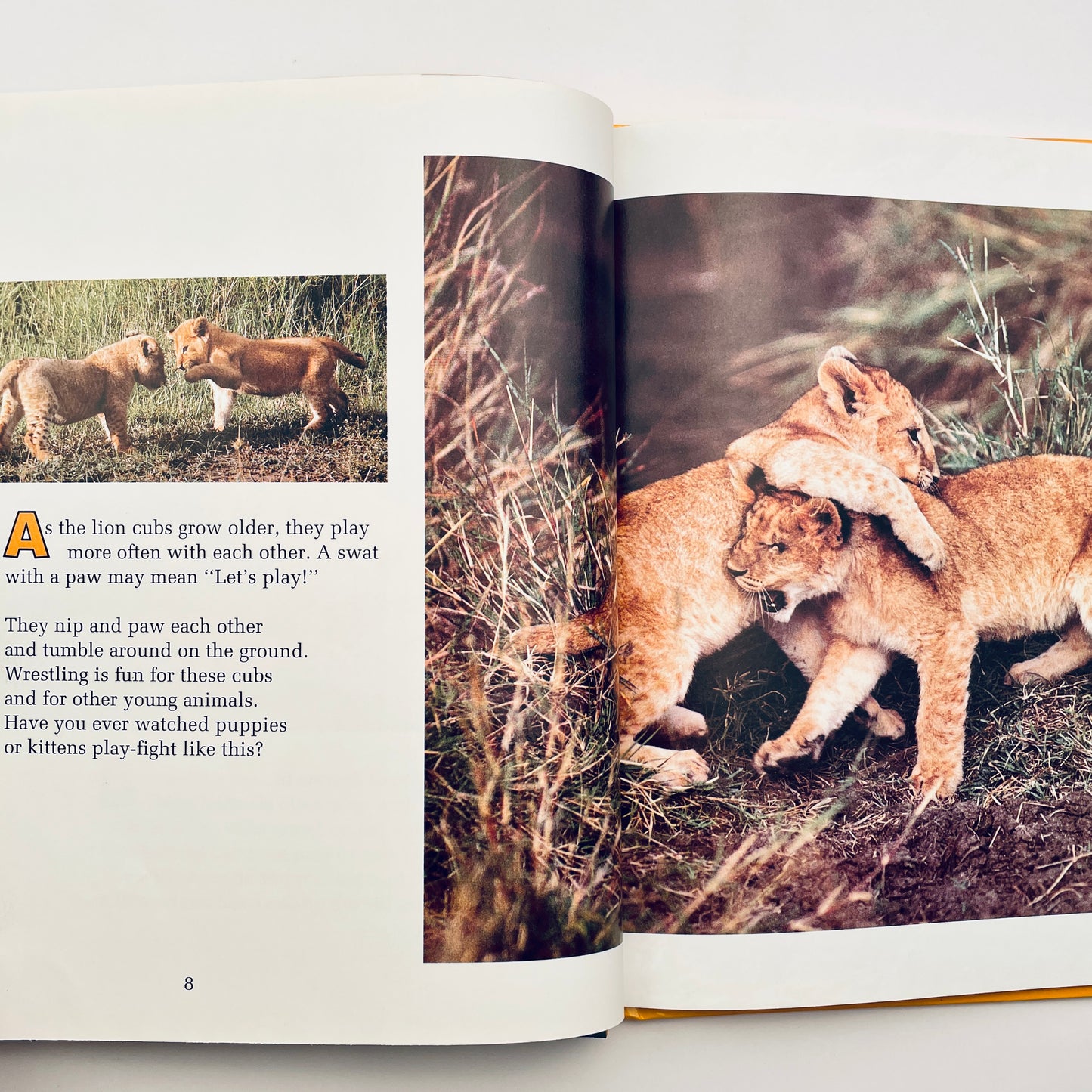 Animals at Play (National Geographic Books for Young Explorers)