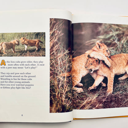 Animals at Play (National Geographic Books for Young Explorers)