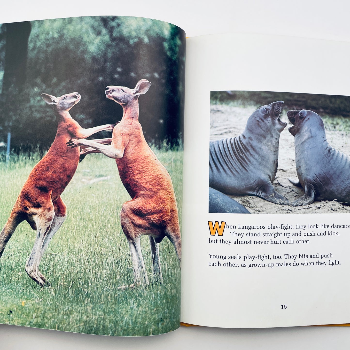 Animals at Play (National Geographic Books for Young Explorers)
