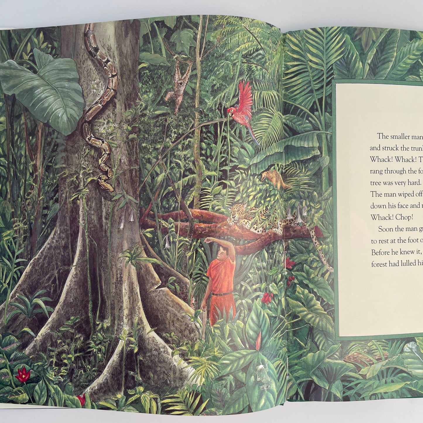 The Great Kapok Tree