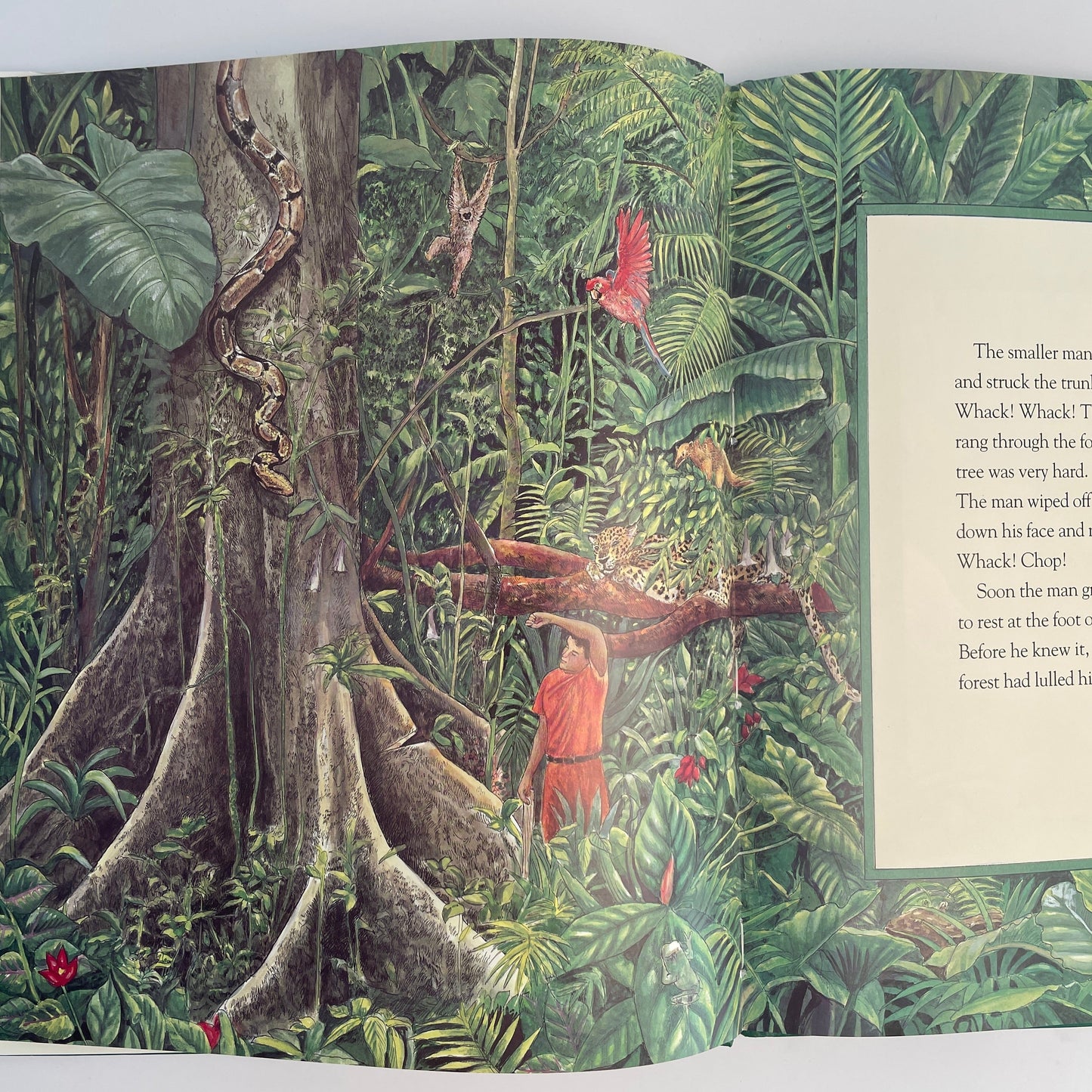 The Great Kapok Tree