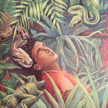 The Great Kapok Tree