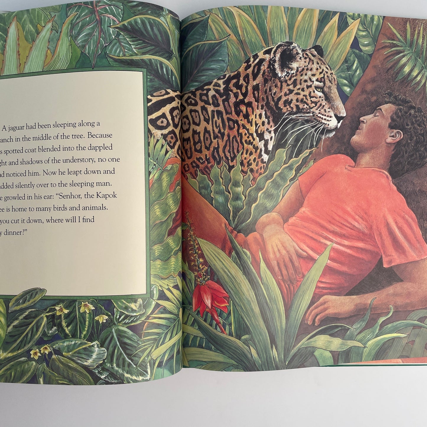 The Great Kapok Tree