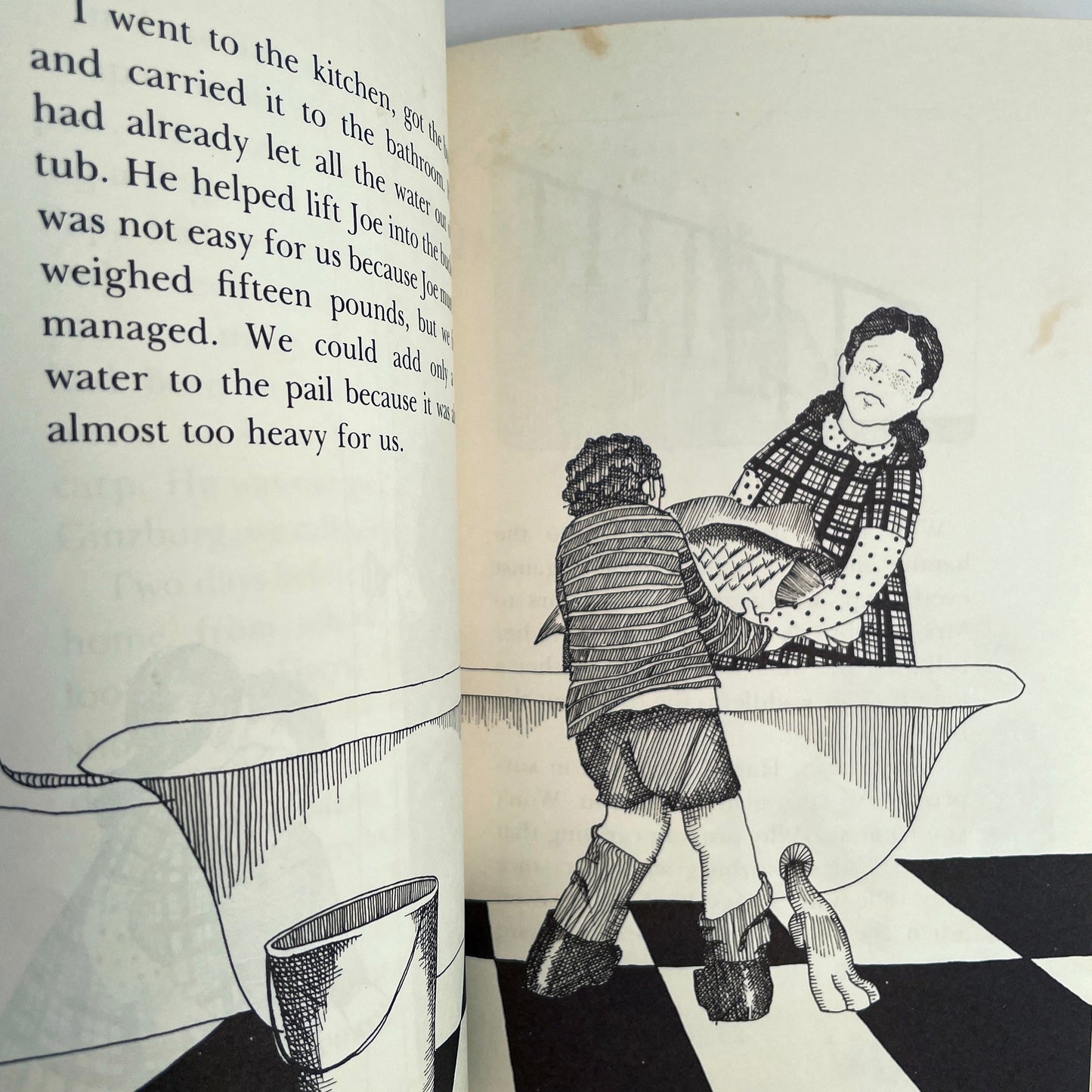 Carp in the Bathtub