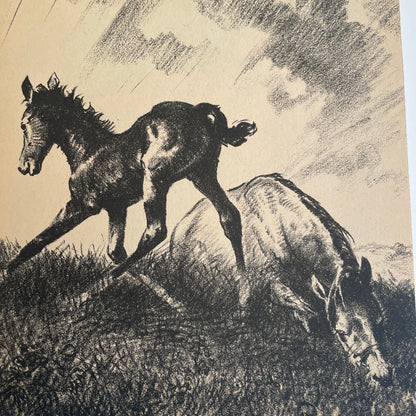 Flip and the Morning