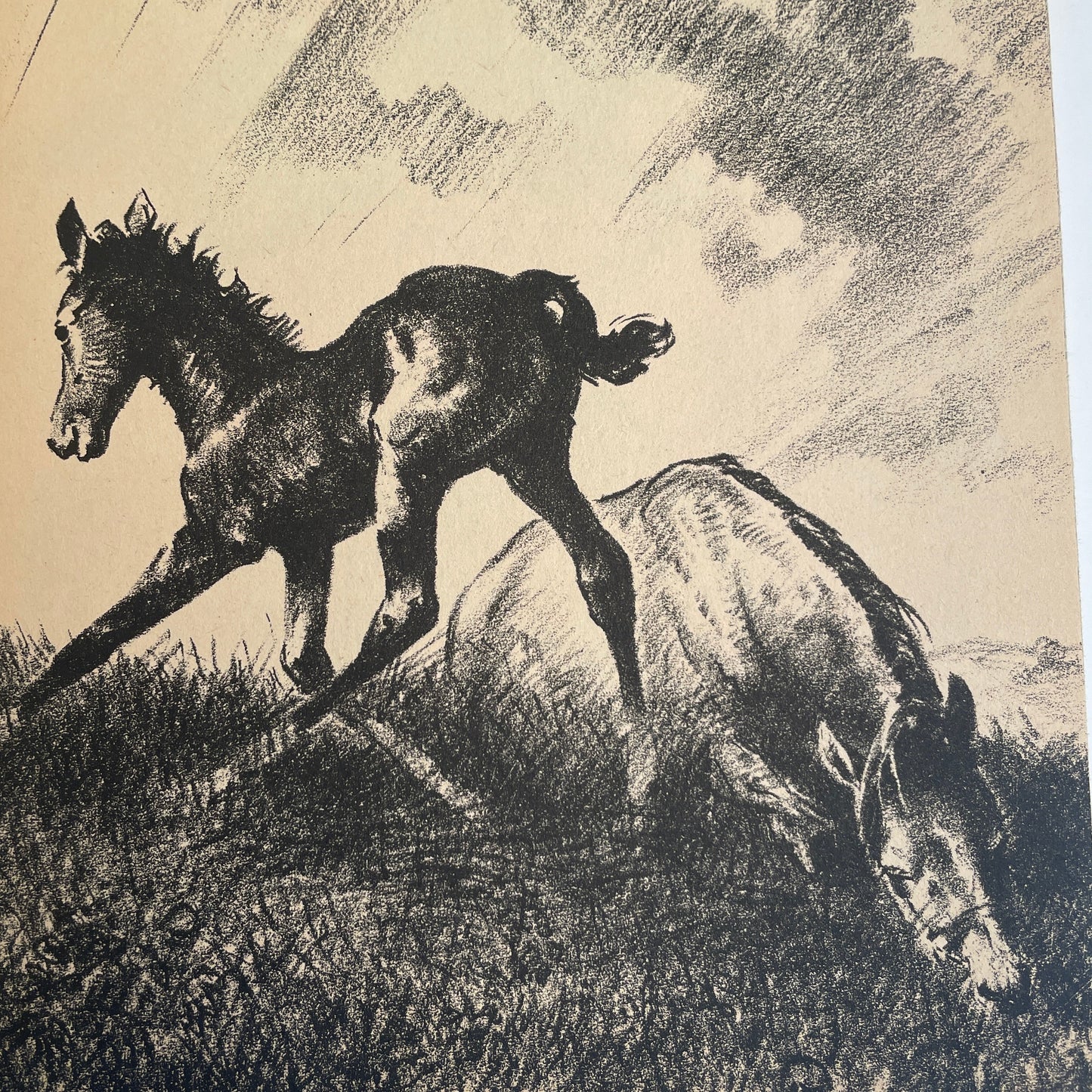 Flip and the Morning