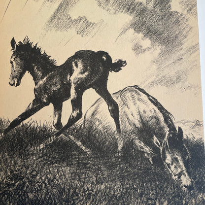 Flip and the Morning