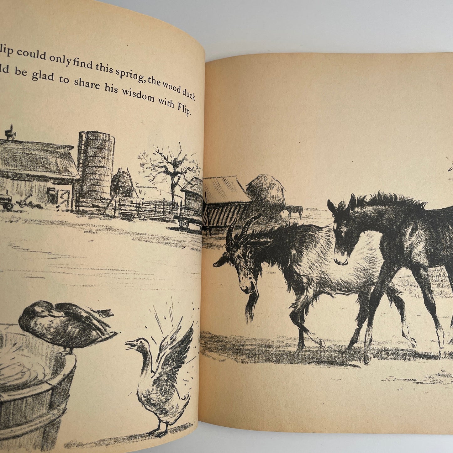 Flip and the Morning