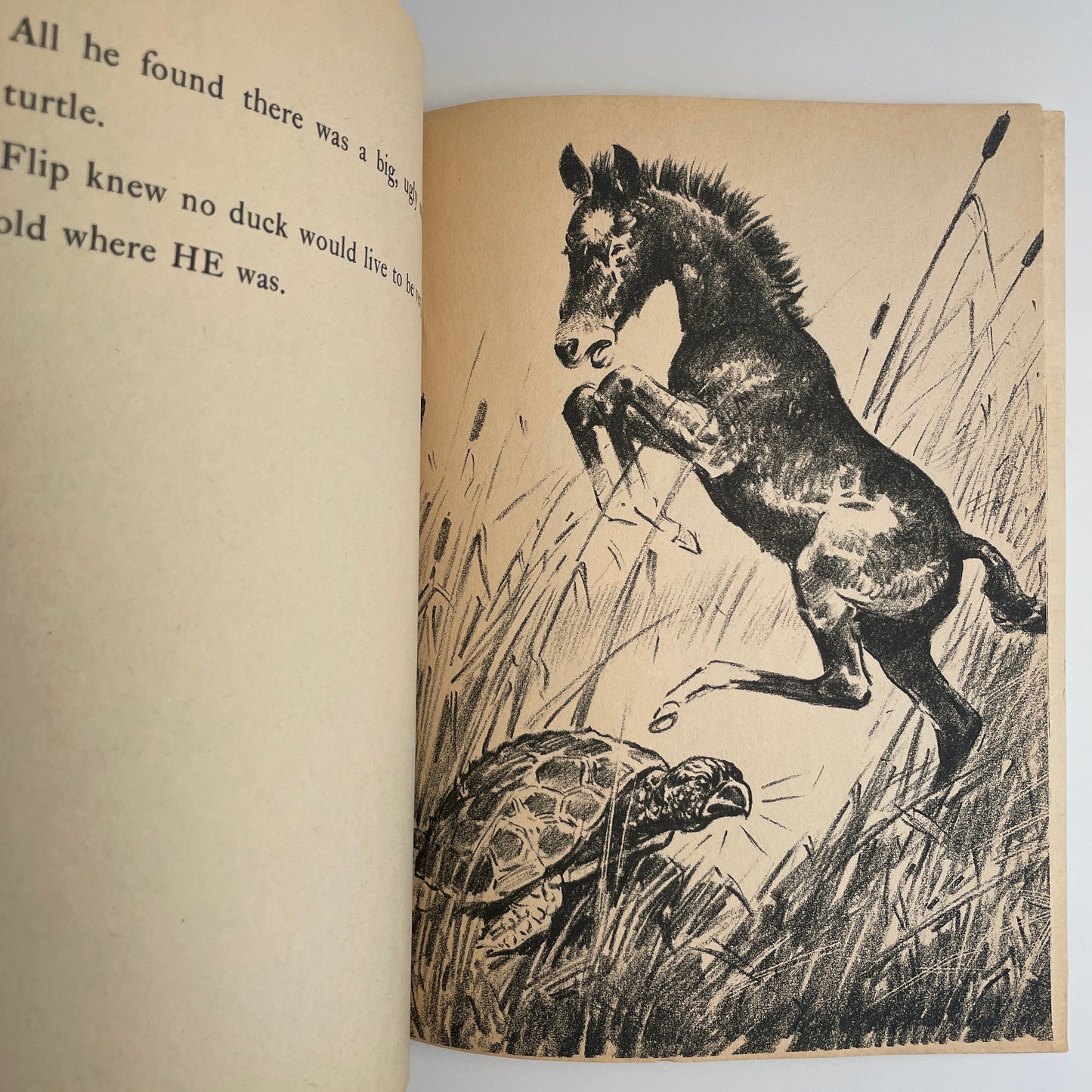 Flip and the Morning