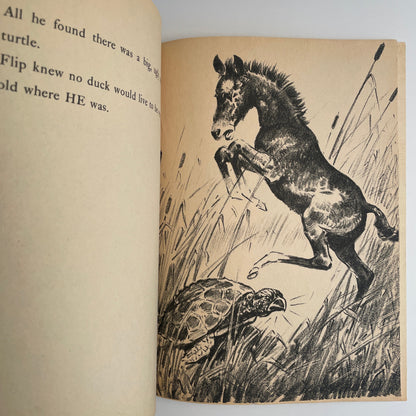 Flip and the Morning