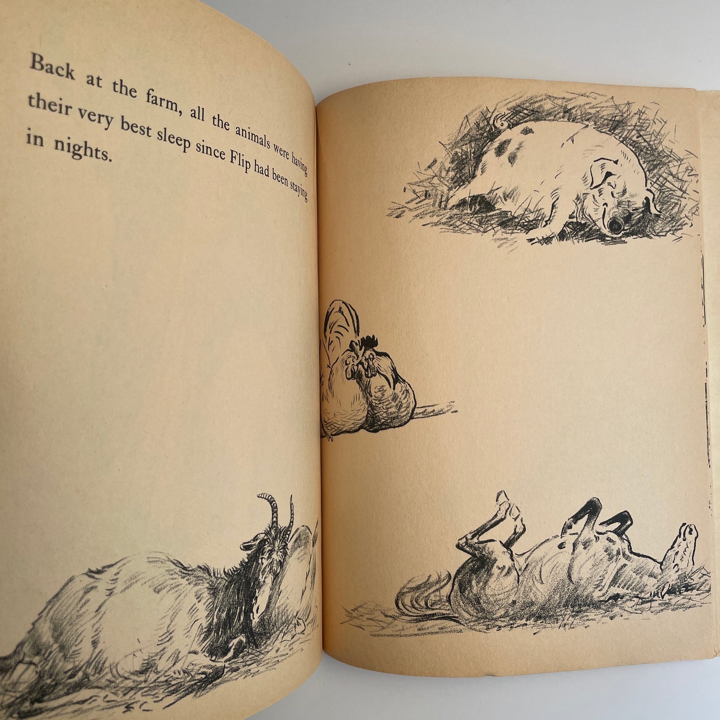 Flip and the Morning