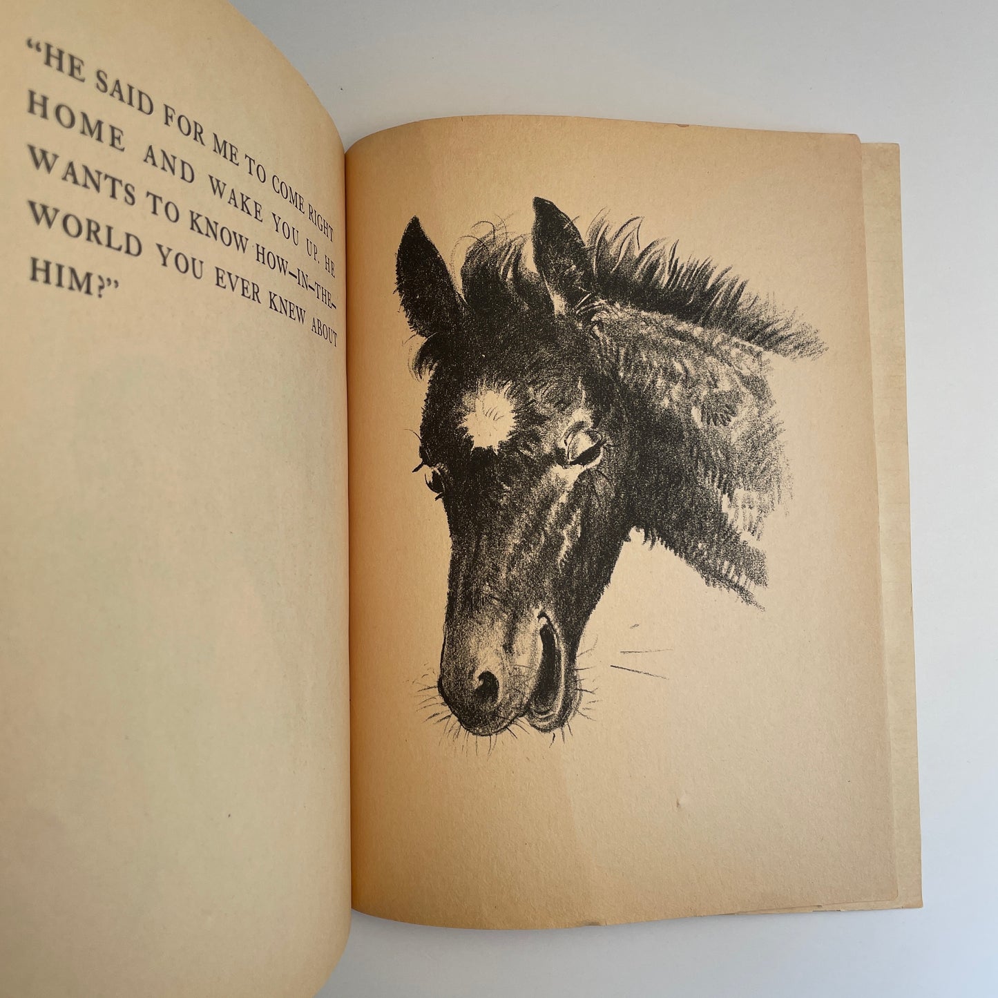 Flip and the Morning