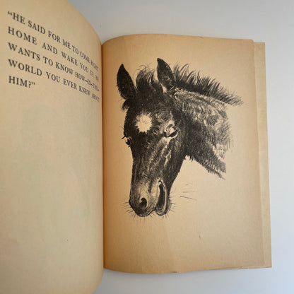 Flip and the Morning