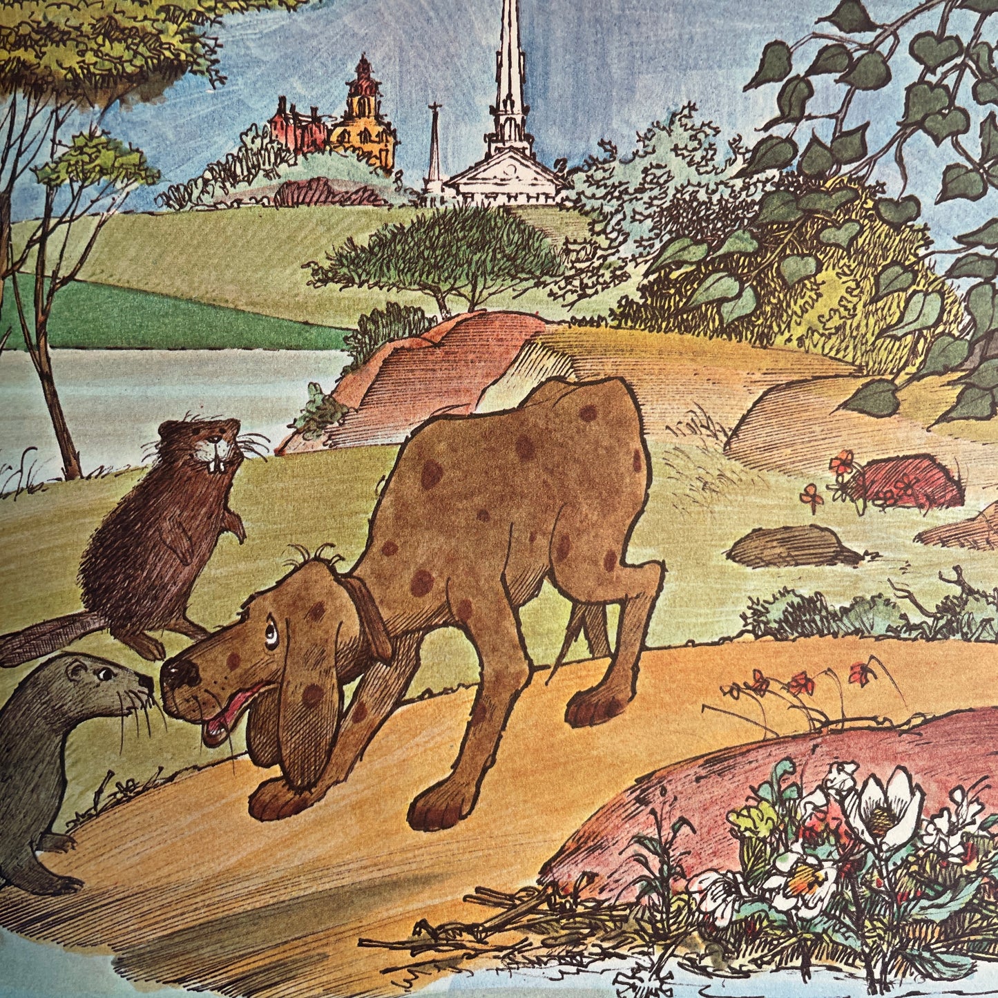 How Fletcher was Hatched!