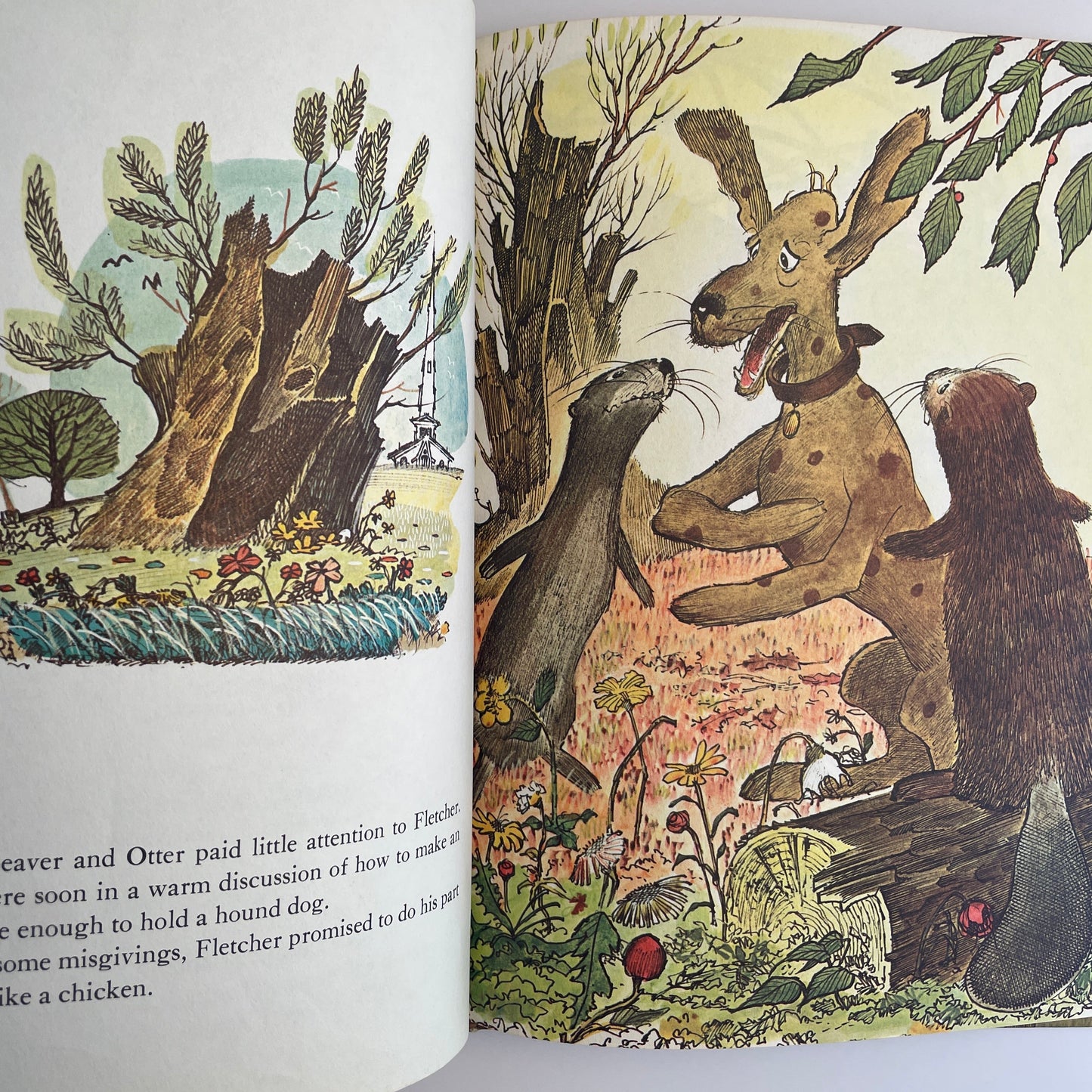 How Fletcher was Hatched!