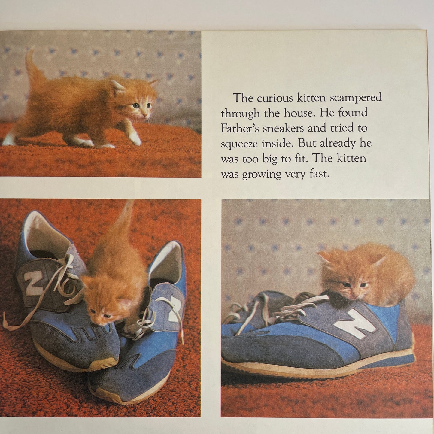 The Little Kitten