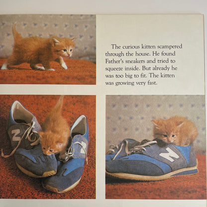 The Little Kitten