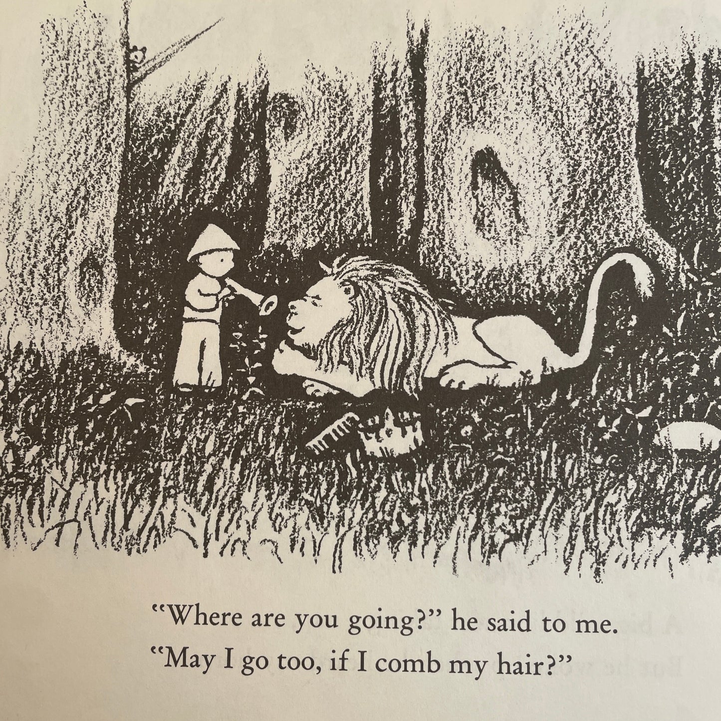 In the Forest