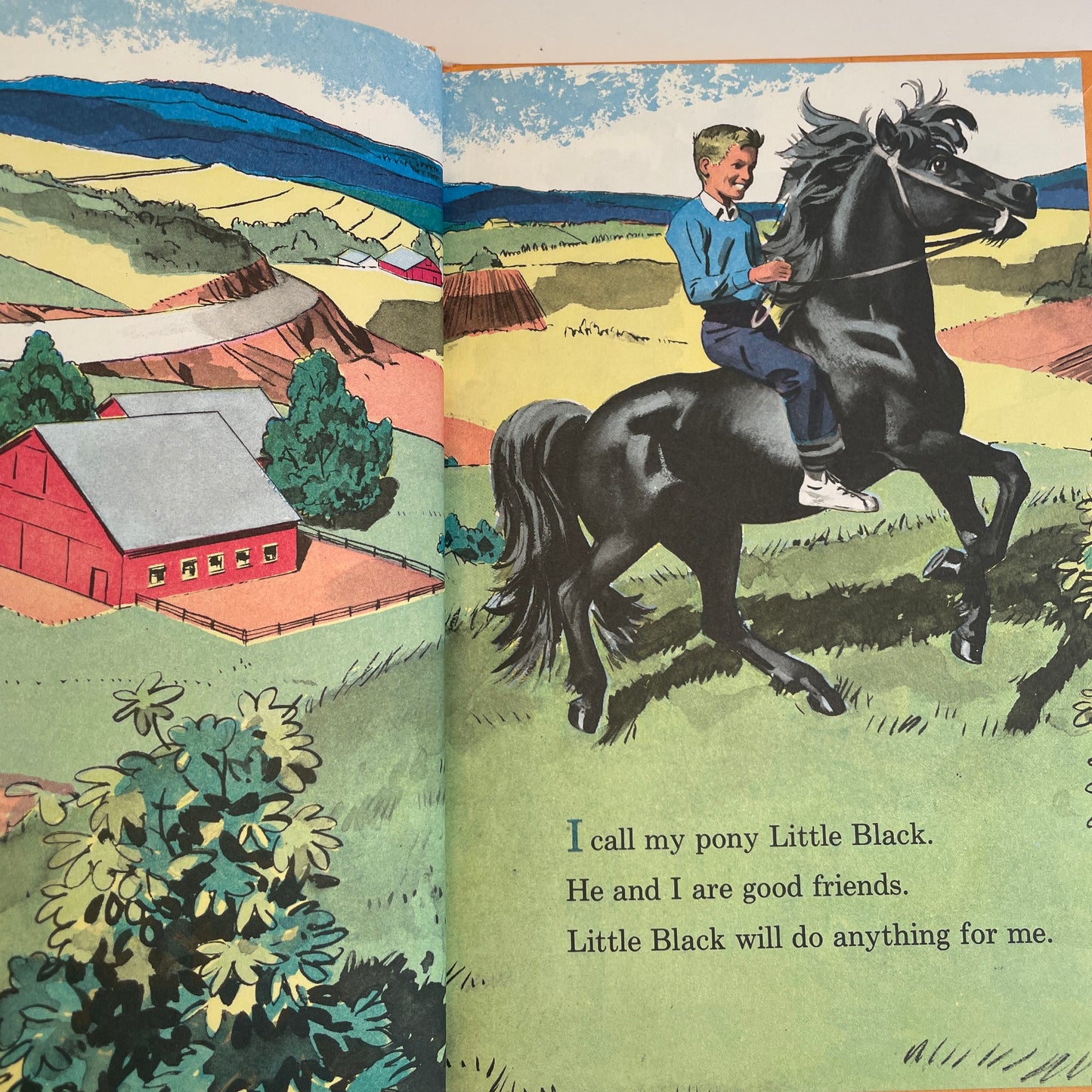 Little Black Goes to the Circus!