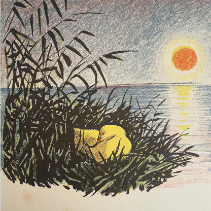 The Story About Ping